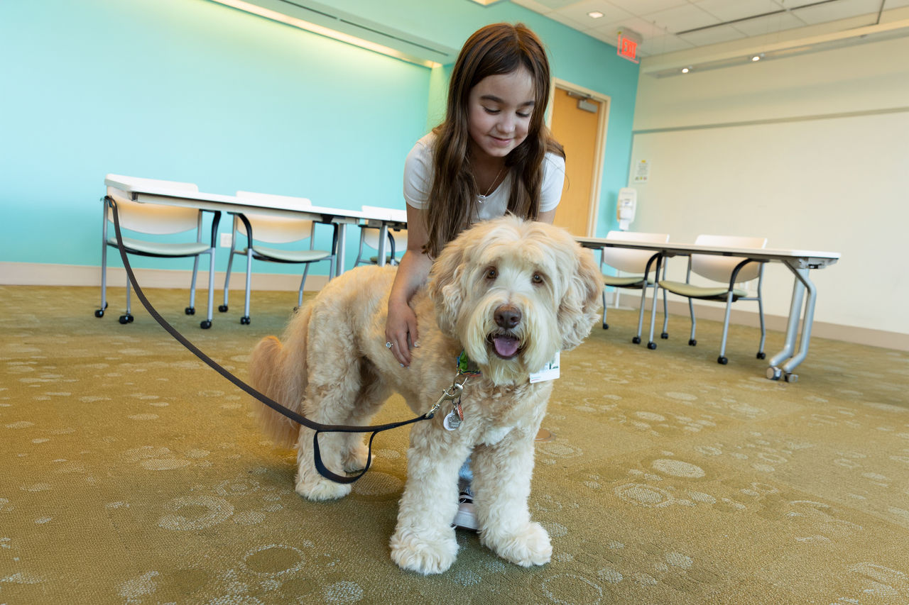 Child with therapy dog